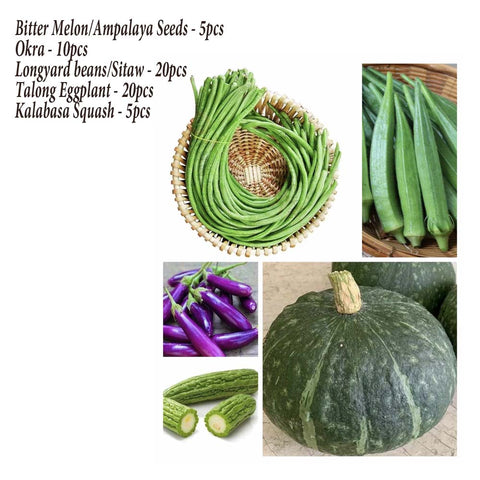 Image of Asian Pinoy Seeds Collections Kalabasa 5pcs, Ampalaya 5pcs, Okra 10pcs, Sitaw 20pcs, Talong 20pcs